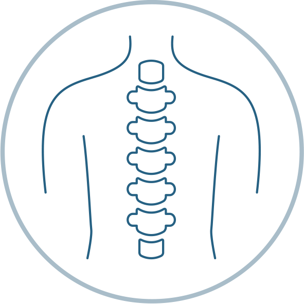 cabinet d'osteopathes picto Vertebres